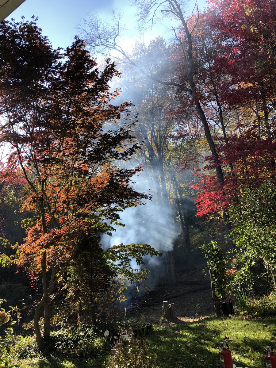acressman7362's tweet photo. Cleaning up for winter, somebody had to start anyway. https://t.co/oMBKKNHInd