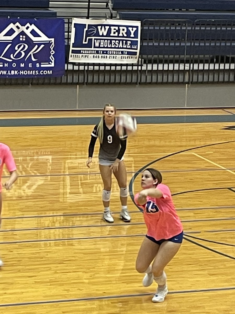 Tracy Treps tweet media