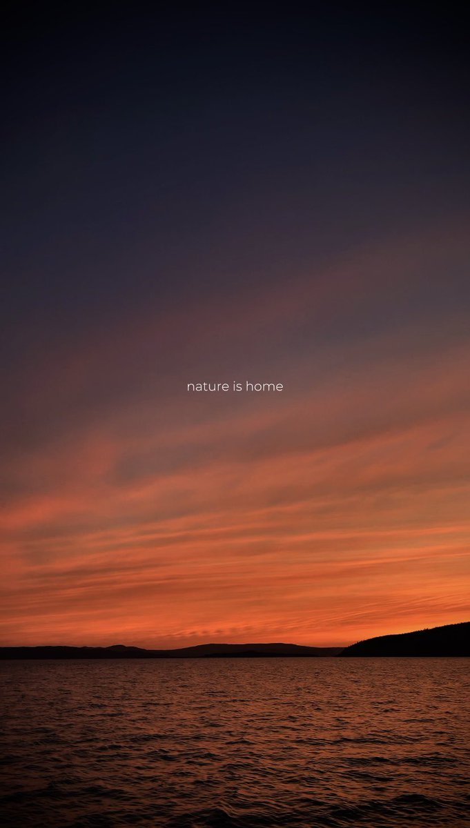 FellerPine's tweet photo. Nature is truly home…
LINK:
https://t.co/7W54BtPknO
🌲🌲🌲
#fellerpine #peace #nature #explorenl #newfoundland #sunset #freedom #inspiration https://t.co/gaFYdKEmDy