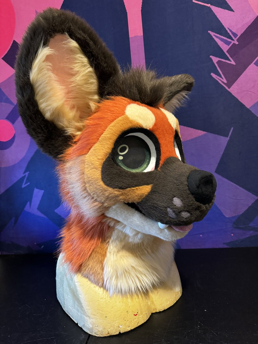 CoyoteArcade's tweet photo. Maned wolf colaberation premade with @ConjureCreature ✨

Flat sale 3️⃣0️⃣0️⃣0️⃣usd

(Info below..) https://t.co/80ef9z8ykb