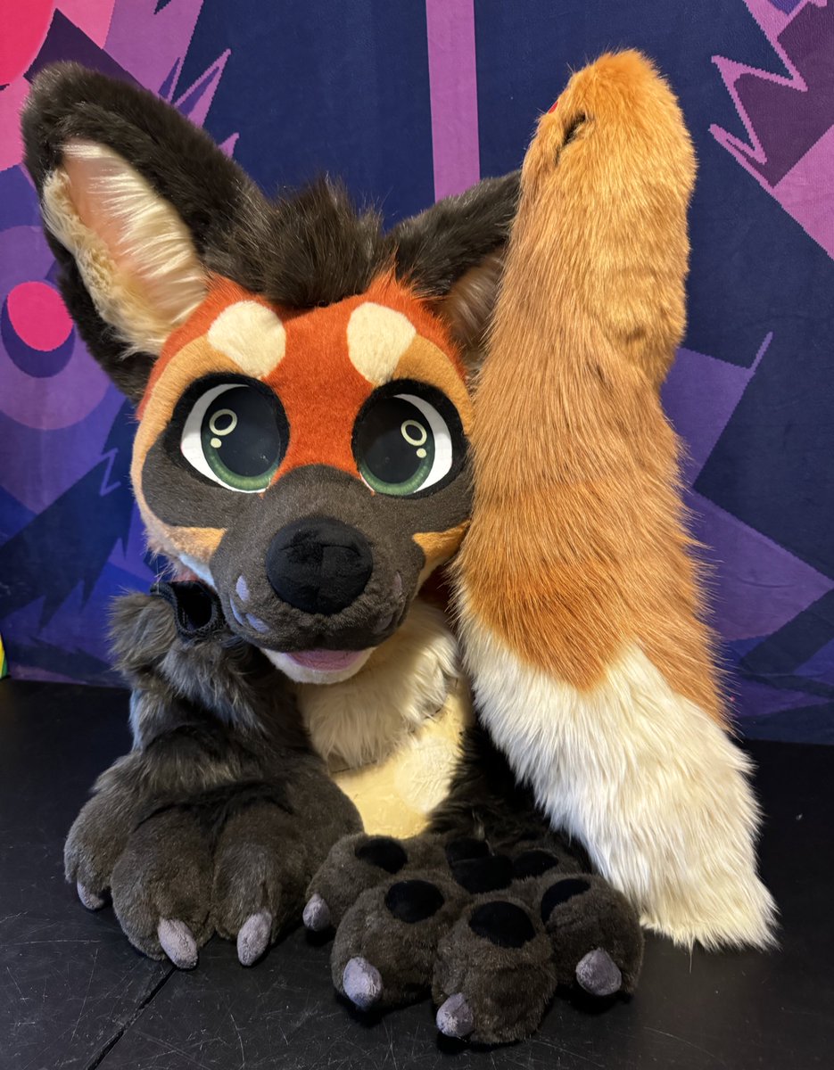 CoyoteArcade's tweet photo. Maned wolf colaberation premade with @ConjureCreature ✨

Flat sale 3️⃣0️⃣0️⃣0️⃣usd

(Info below..) https://t.co/80ef9z8ykb