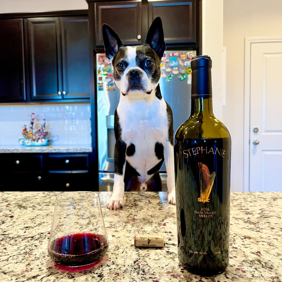 _drazzari's tweet photo. My Saturday Selection with Asher is this @hestanvineyards “Stephanie” merlot from Napa Valley. October is #MerlotMonth. On the nose, there’s red currants, dried sage, and red licorice followed by flavors of cassis, blueberry and clove. @jflorez @AskRobY @i_stephie @SteveKubota https://t.co/kXoKVRYkz8