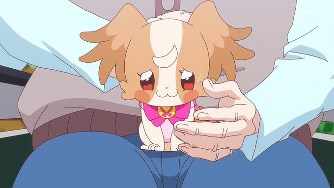 緊張してる #nitiasa #precure 