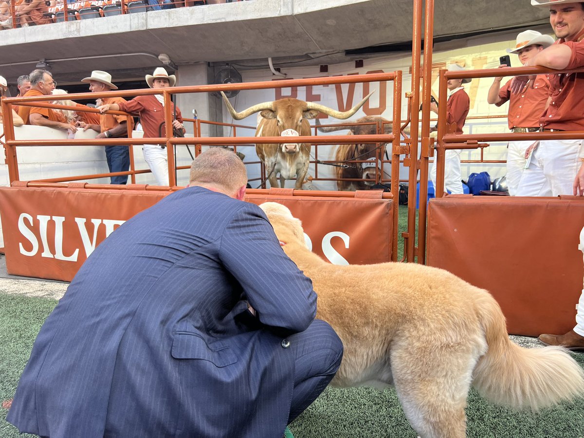 KirkHerbstreit's tweet image. A few more Pregame Ben Highlights