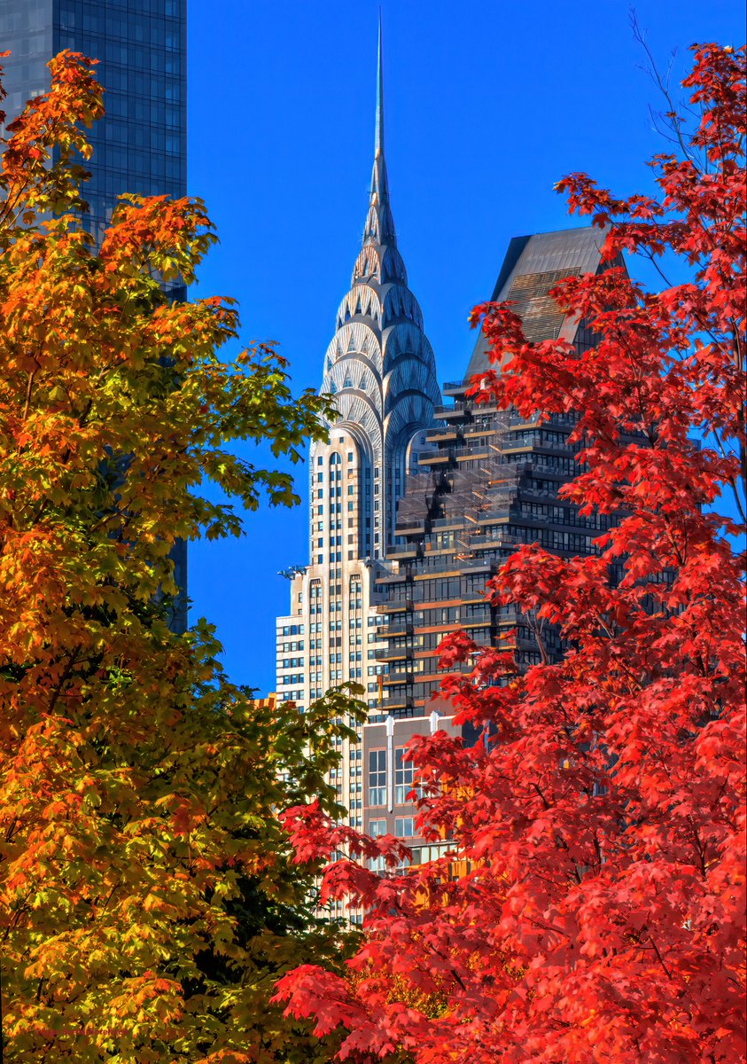 Inga Sarda-Sorensen tweet media