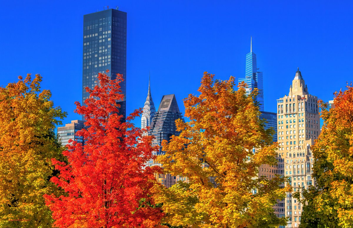 Inga Sarda-Sorensen tweet media