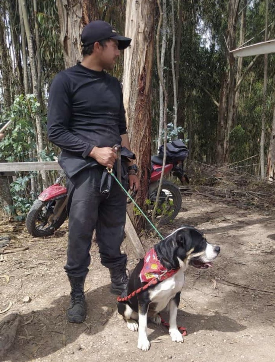 Marce_Tabares's tweet photo. 🔔CAMPANITA DE ADOPCIÓN! Saber leer las necesidades de los 🐶 nos importa mucho! Poder definir el tipo de hogar ideal para cada uno, toma tiempo. #Baruj no es un 🐶 de apartamento. Es un 🐶 con una energía física y mental increíble. Por eso sentimos que quedó en el lugar ideal🙏 https://t.co/ASSihIik7K