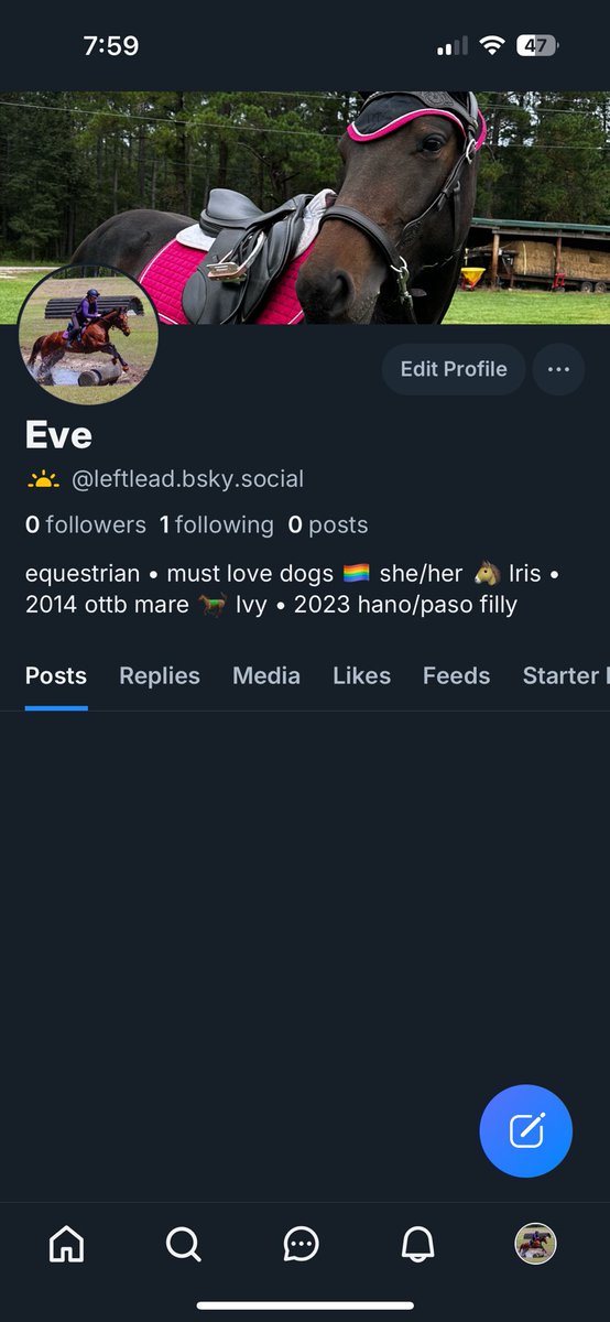 𝐸𝓋𝑒 ✿ tweet media