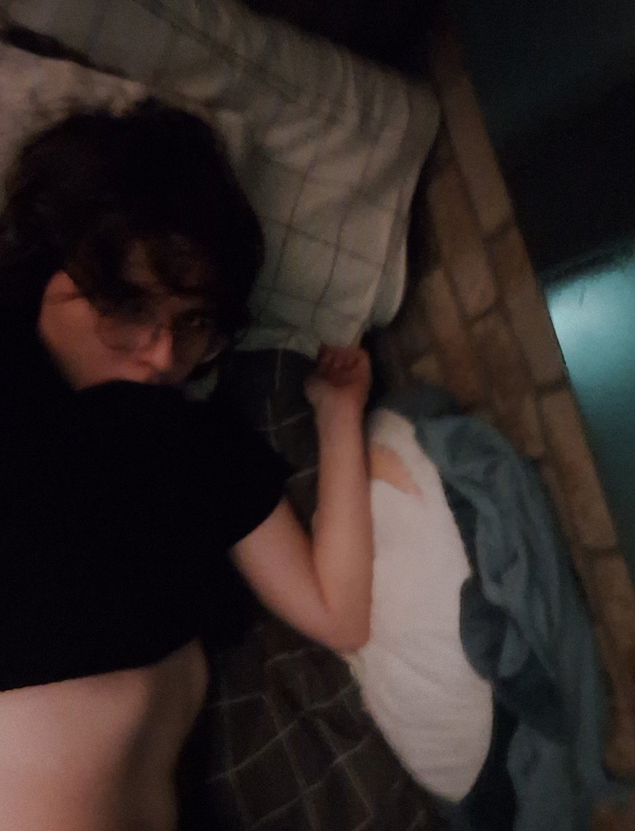 igor__priv's tweet photo. eepy boy being eepy in his bed https://t.co/MpYon0cmQR