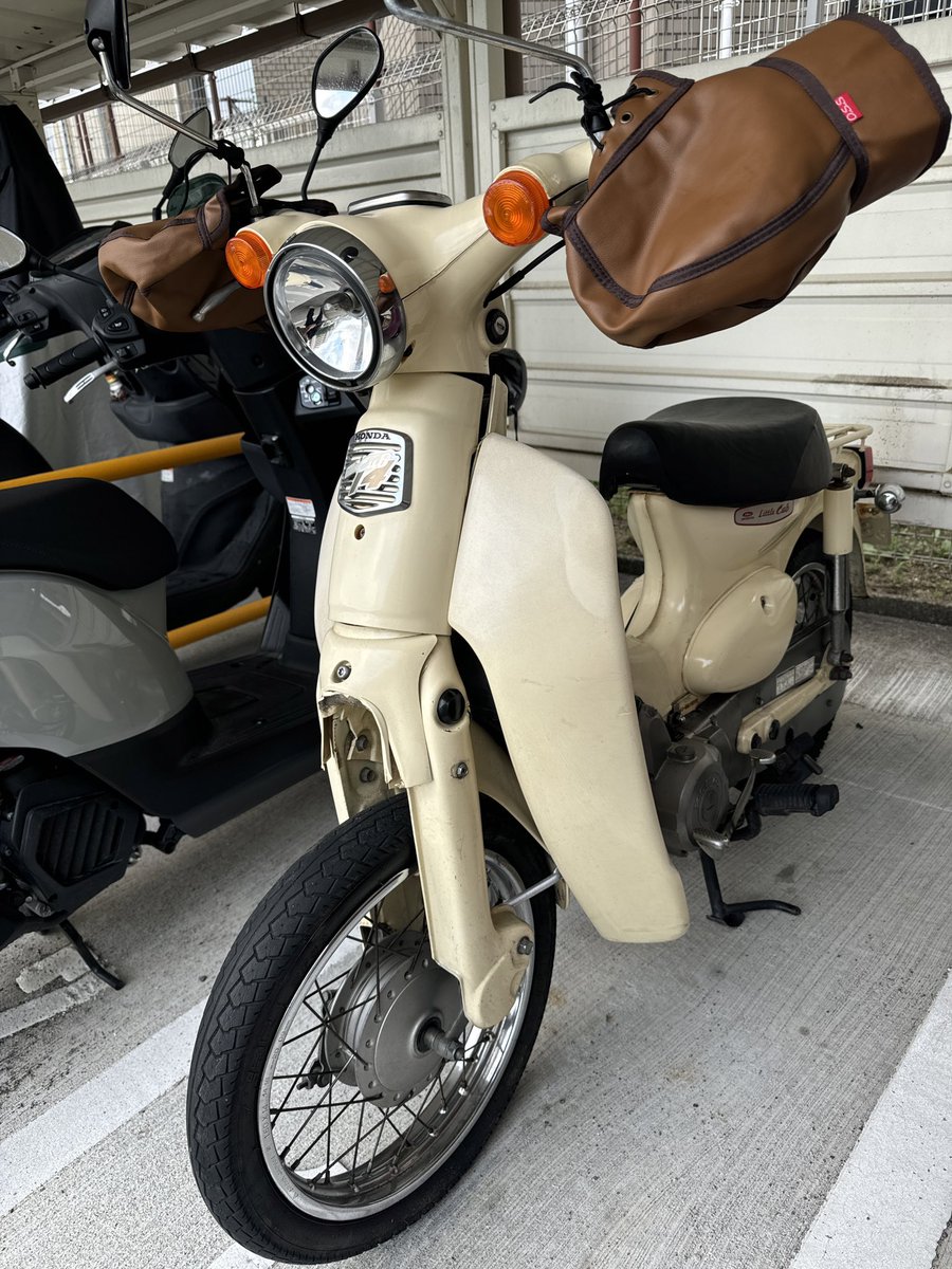 カブで事故って大ケガしました
#今からでも入れる保険ありませんか