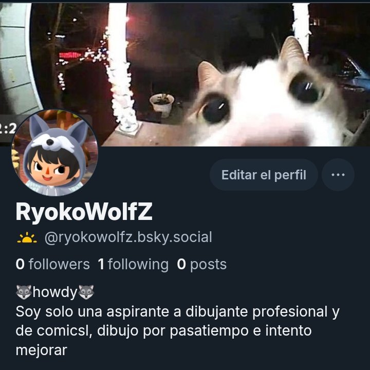 RyokoWolfZ tweet media