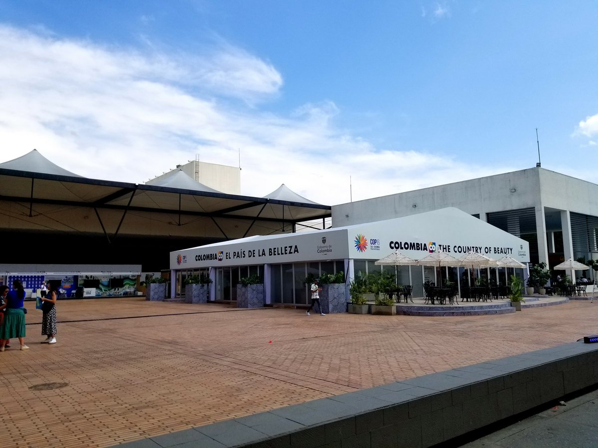 ARadulovici's tweet photo. Desde Cali, Colombia.... https://t.co/D3rjwuoNgH