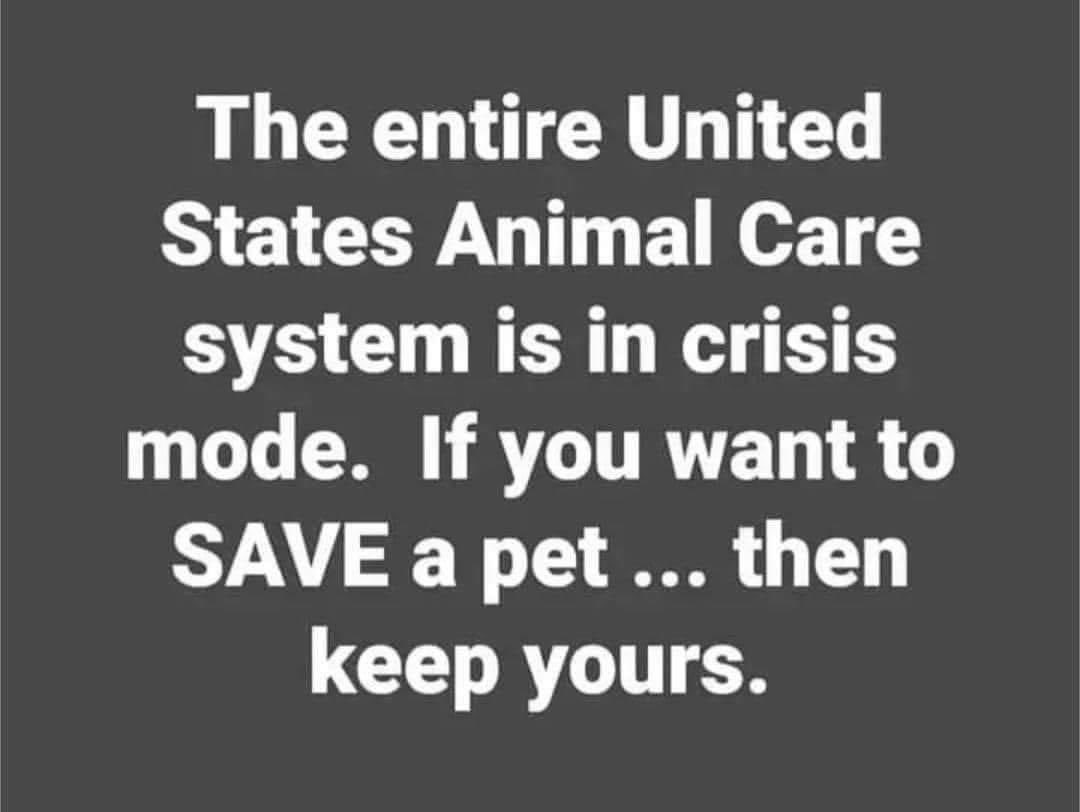 TNProverbs1210's tweet image. We want to ask each you to share this fact. We are in total crisis mode nationwide. We ( alone ) are turning down hundreds a week. Owner surrenders are exponentially increasing the problem. It is heartbreaking.

#ThinkBeforeAdopting
#LifeTimeCommitment

proverbs1210rescue.org