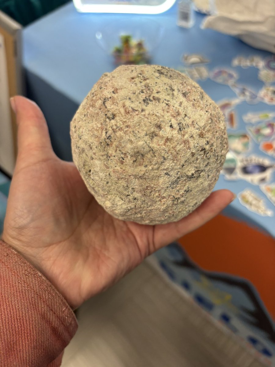 Bernadette Valenzuela tweet media