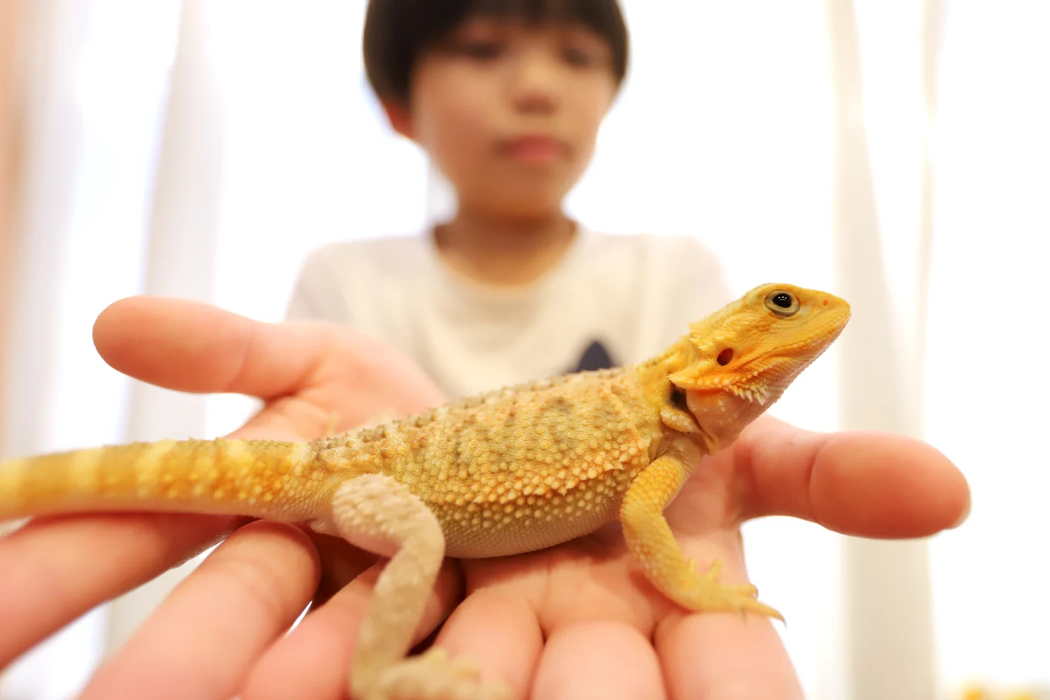 AntRoom 島田拓 on X: 