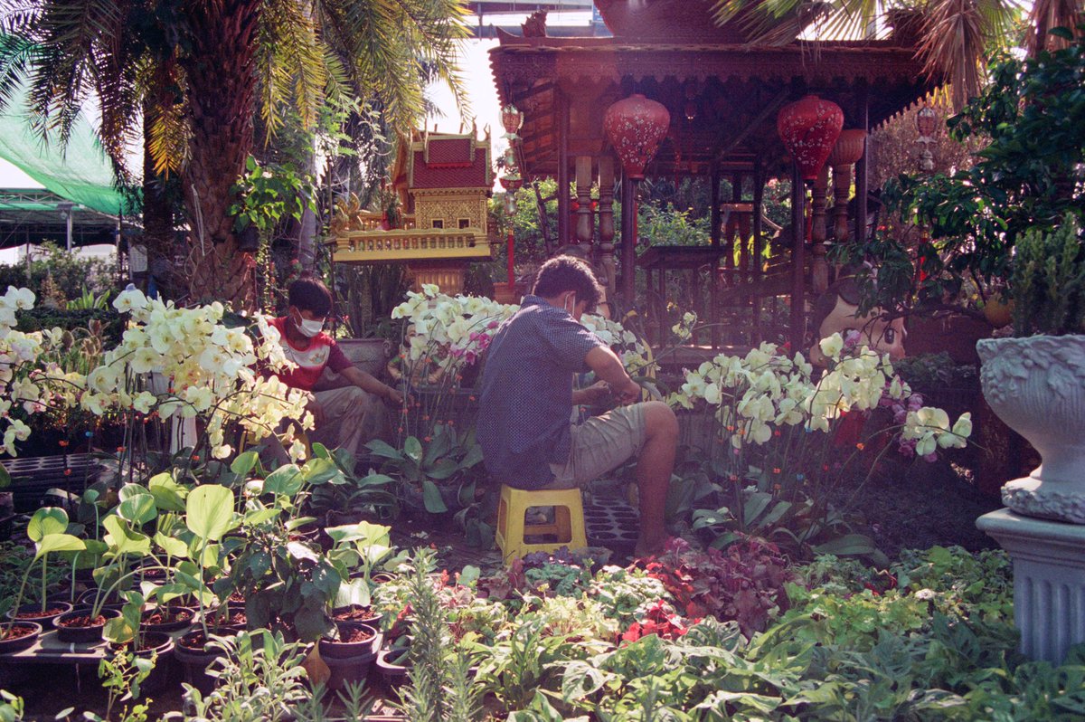 Flower shop in the morning, Phnom Penh, Cambodia, 2020 / I got an film camera during Covid time and after 4 years, finally I could develop the film and here you go. This is my first analogue shot in my life to share. It is completely different from digital shots and I like it 😁
