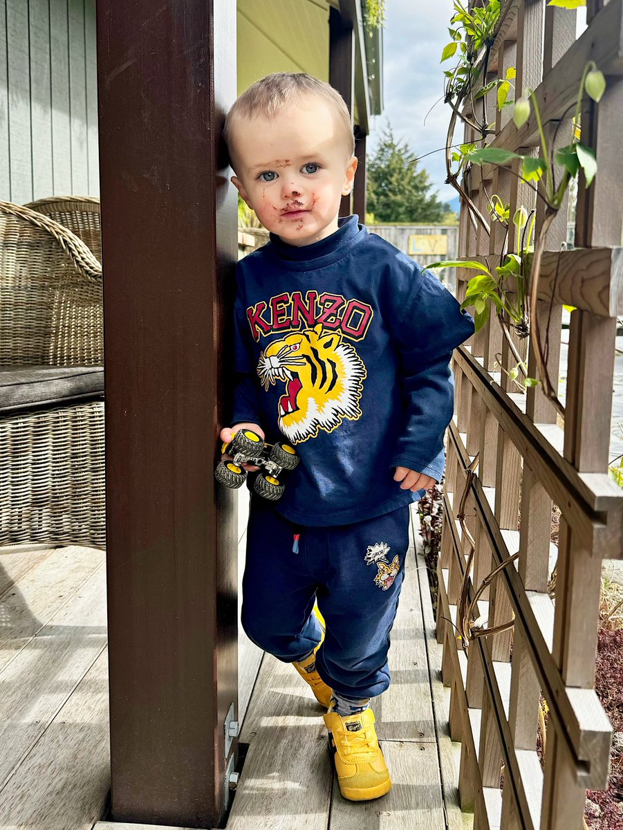 Kim Dotcom tweet media