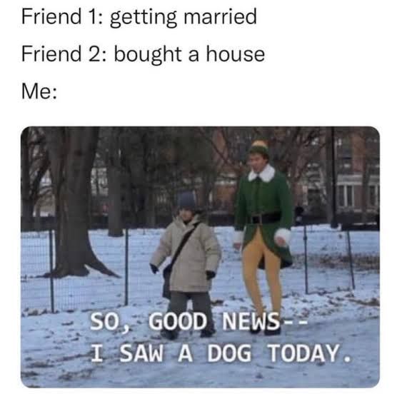 WholesomeMeme's tweet photo. Submitted by @NotImportantUser https://t.co/AWyzdZiess