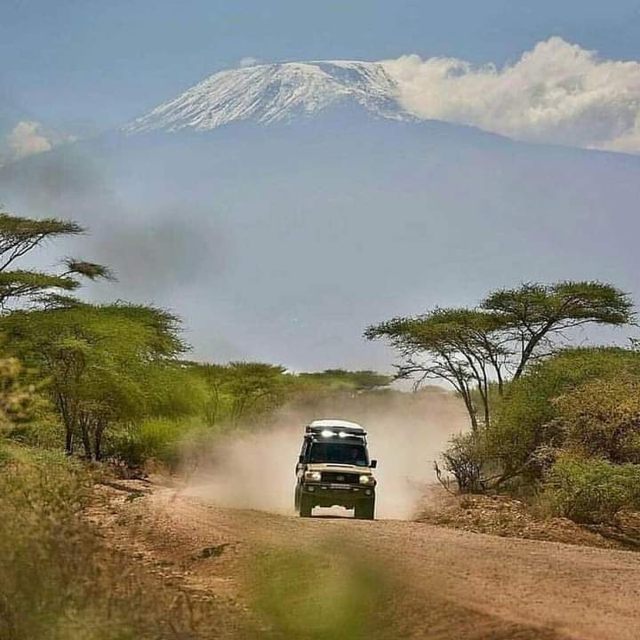 BitcoinSafariTZ's tweet photo. The Road Leading To Mount Kilimanjaro, Tanzania 🇹🇿
Hiking Mount 🗻 kilimanjaro with @NdivaSafaris and Pay in Bitcoin today in Tanzania 🇹🇿
Follow @NdivaSafaris
Website;https://t.co/JX3GA3rhLY
#adequatesafaris #visitTanzania #kilimanjaro #Mountain #Payinbitcoin #bitcoin https://t.co/7x8anAKr26
