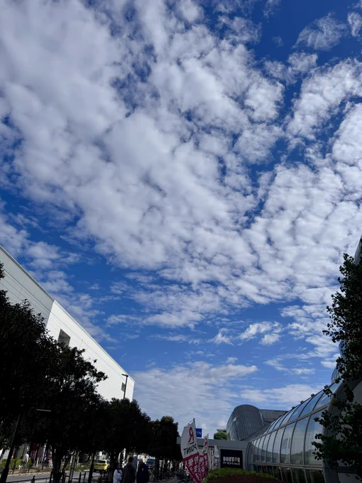 聖地巡礼(?)風つよ以外はいい天気 