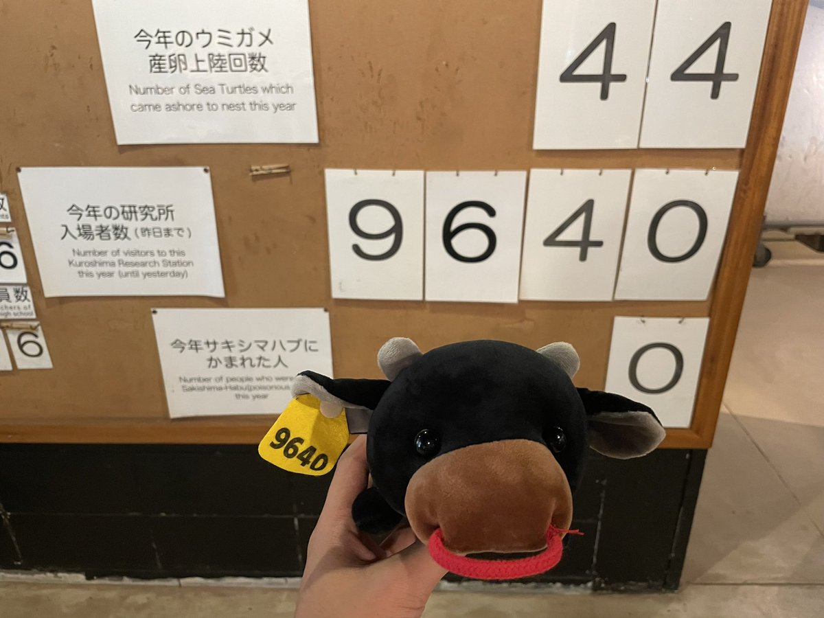 おかげさまで昨日までの入館者が9640（くろしま）人でした！
