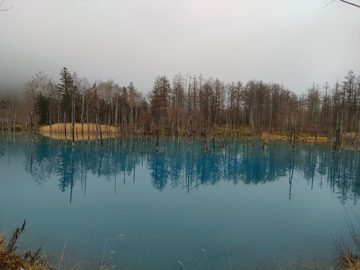 AcoromoCamp's tweet photo. 旅先で出会った様々な青たち。
青森の青池、和歌山の熊野古道の温泉、富士山、北海道の青い池。 https://t.co/obGMenabu0