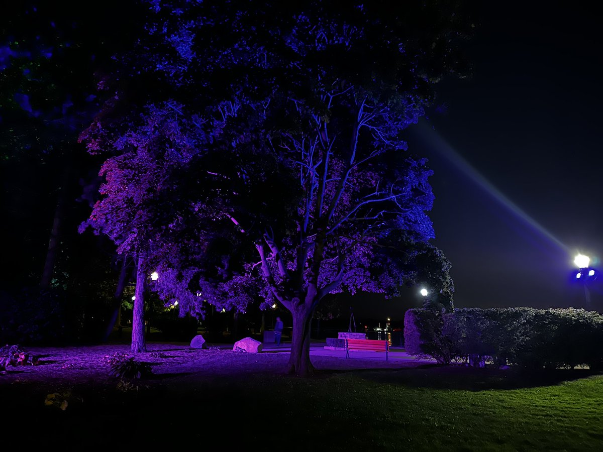 Essex County shone bright in purple and blue for #NDEAM24 celebrating the Light it Up! For NDEAM! event that occurred across Canada on October 17th! 

Together, we can make a difference and promote inclusive workplaces in our communities. 💜💙