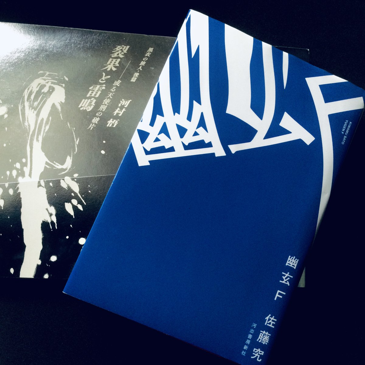 佐藤究 kiwamu sato (@sato_q_book) / X 佐藤究 kiwamu sato (@sato_q_book) / X