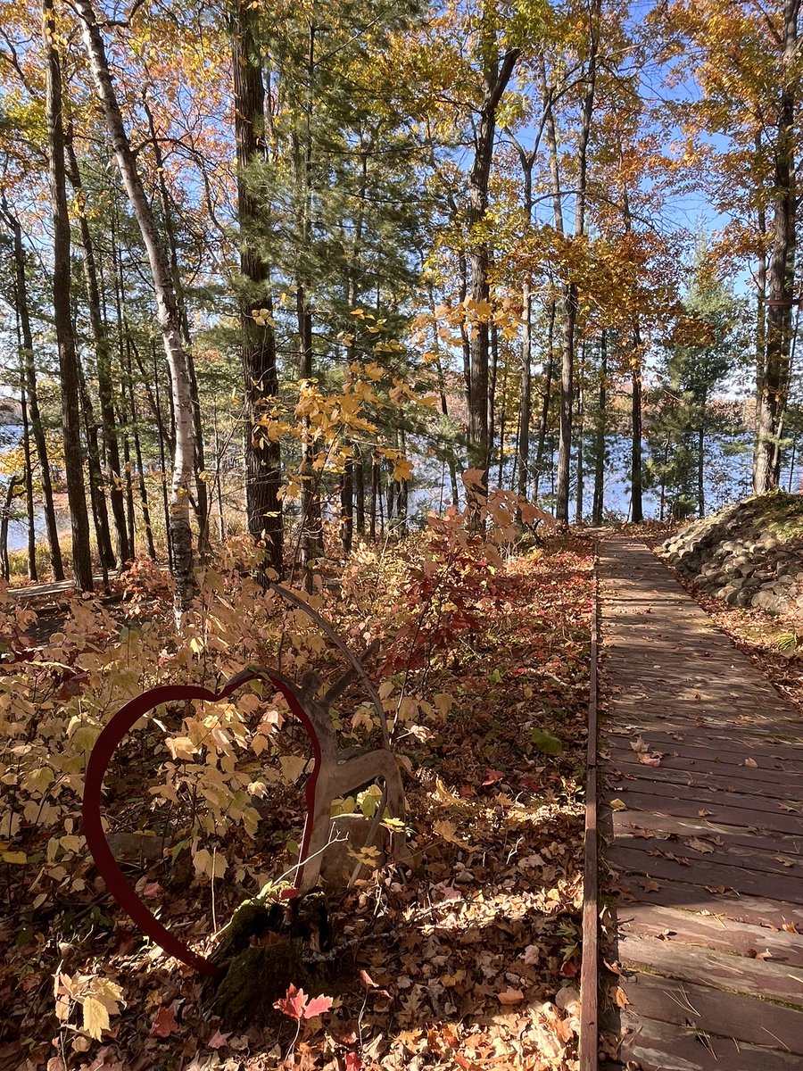 Mark Daly tweet media