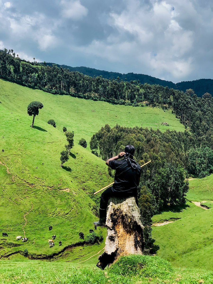 FabRugumire's tweet photo. Good morning, Rwanda 🇷🇼 

📸@WillyBlack__ https://t.co/69kjOBIvjY