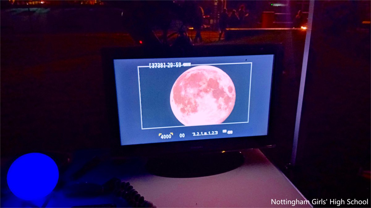 Notts boy24 tweet media