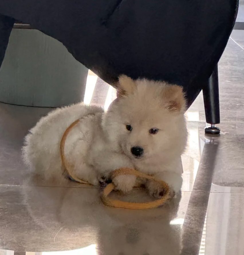 ไม่มีแม้แต่ ใคสักคนจูง ไปเดินเล่น