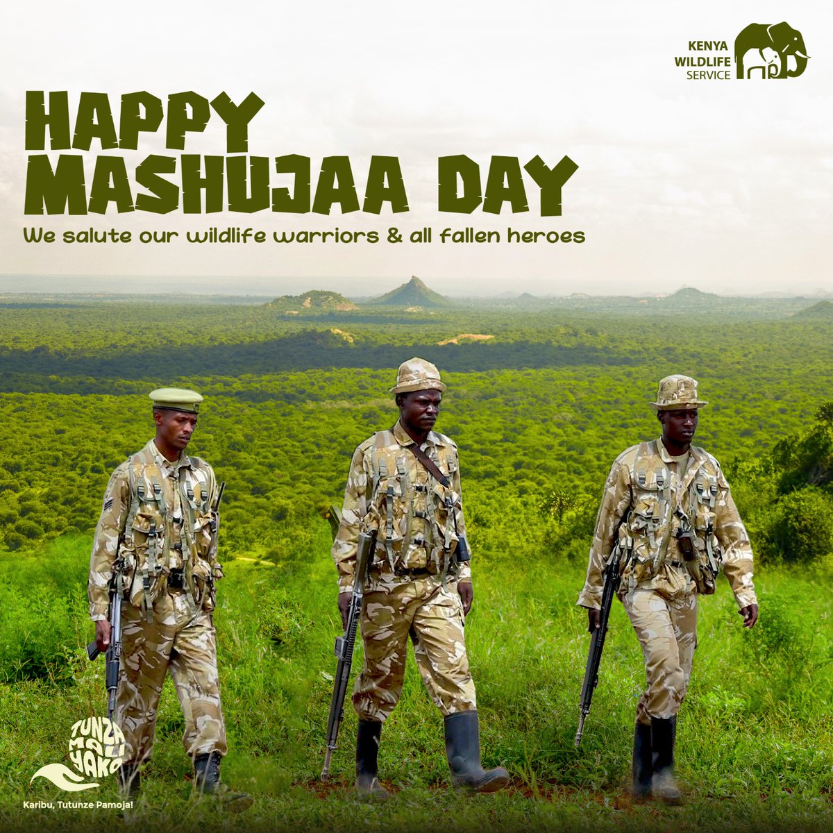 KWS Kiunga Marine National Reserve tweet media