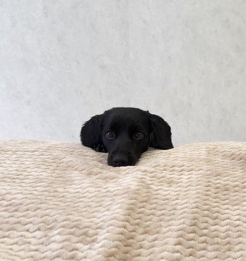 ИМЯ ФАМИЛИЯ (@ichemidov) on Twitter photo 