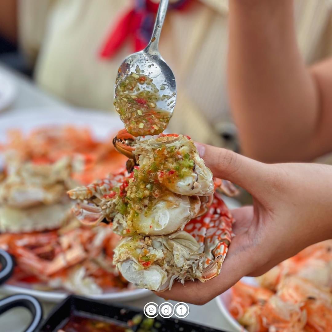 edtguide tweet media