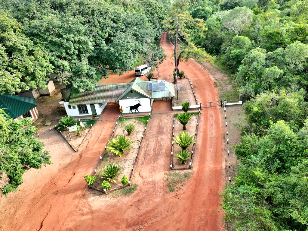 Enjoy the stunning views of the Indian Ocean from the cliffs of Kwale through Tourism in Kwale, perfect for nature walks, photography, and peaceful picnics with a coastal breeze. #TwendeKwale