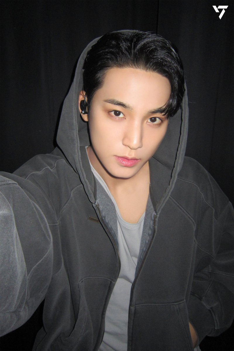 세븐틴(SEVENTEEN) tweet media