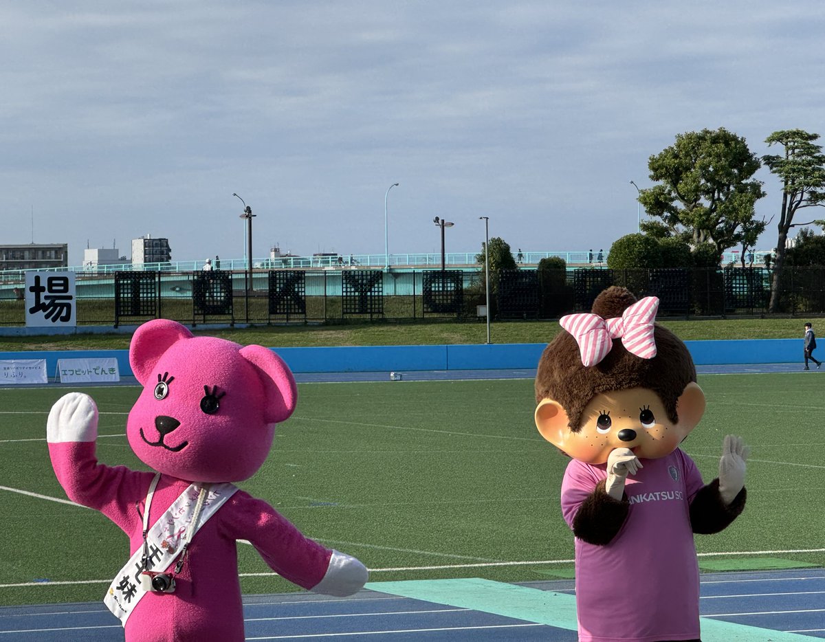 #モンチッチ と #もも妹 が応援にかけつけてくれました！

#南葛SCウイングス