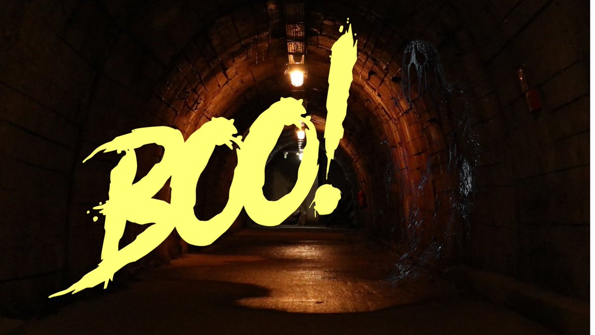 DrWedge_Horror's tweet image. 🎮 What’s Your Favorite Horror Game Mechanic? 🎮 From sanity meters to environmental storytelling, which mechanic gets your heart racing? Let’s chat! 🕯️
#HorrorGameDesign #GameDevCommunity #IndieDev #GameMechanics