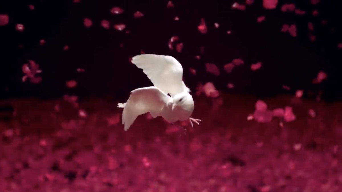 ภาพที่มีเสียง