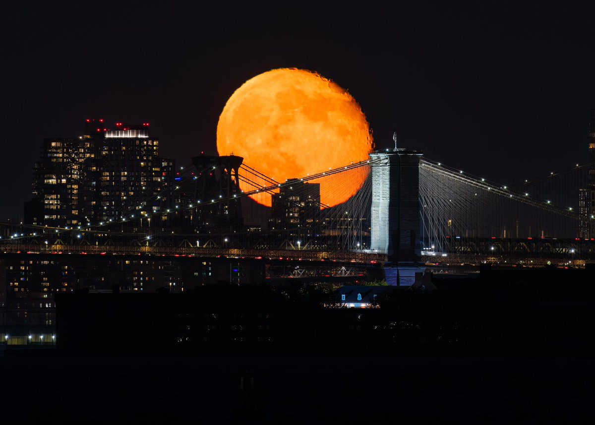 Dan Martland tweet media