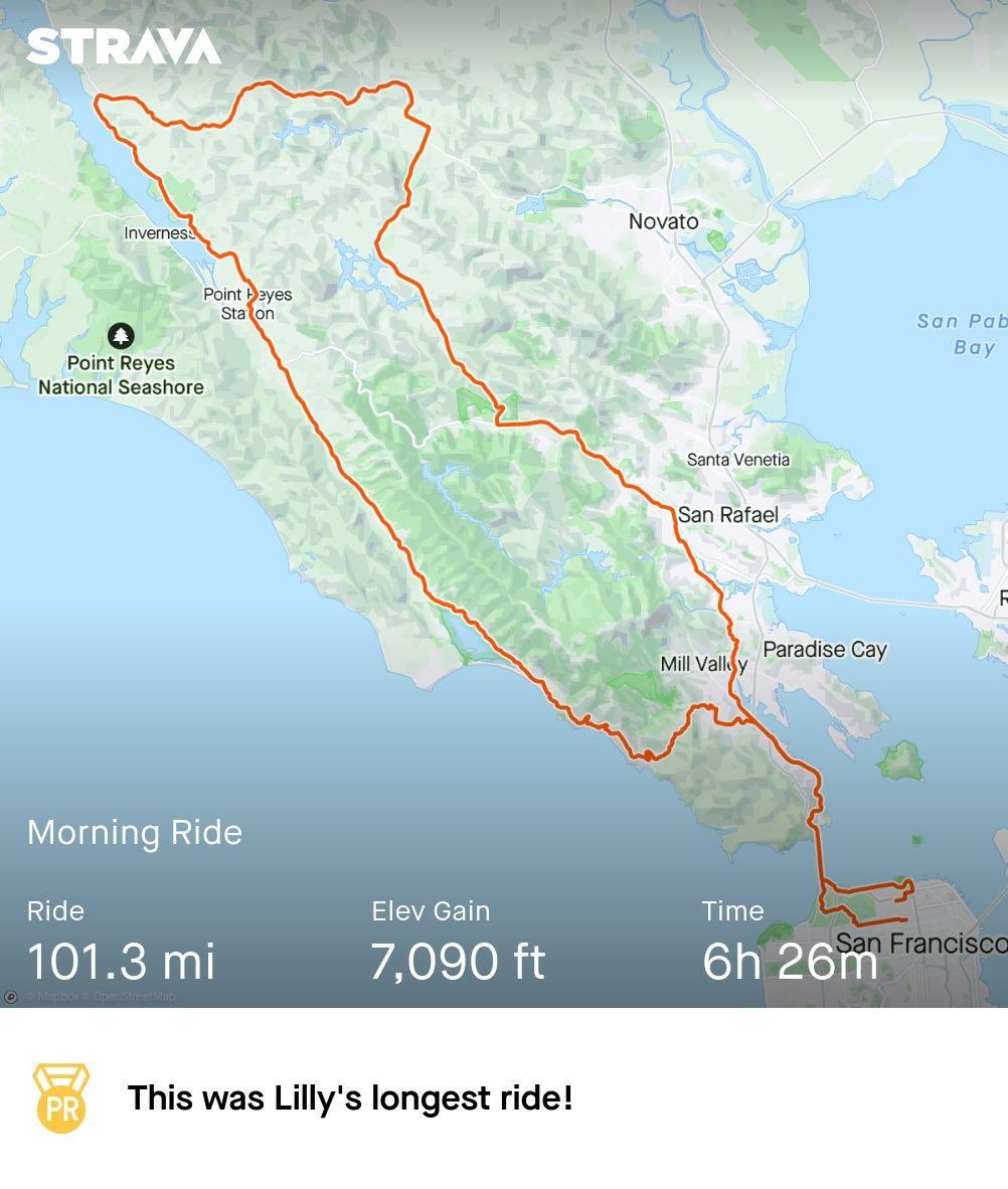 lilly sharples tweet media