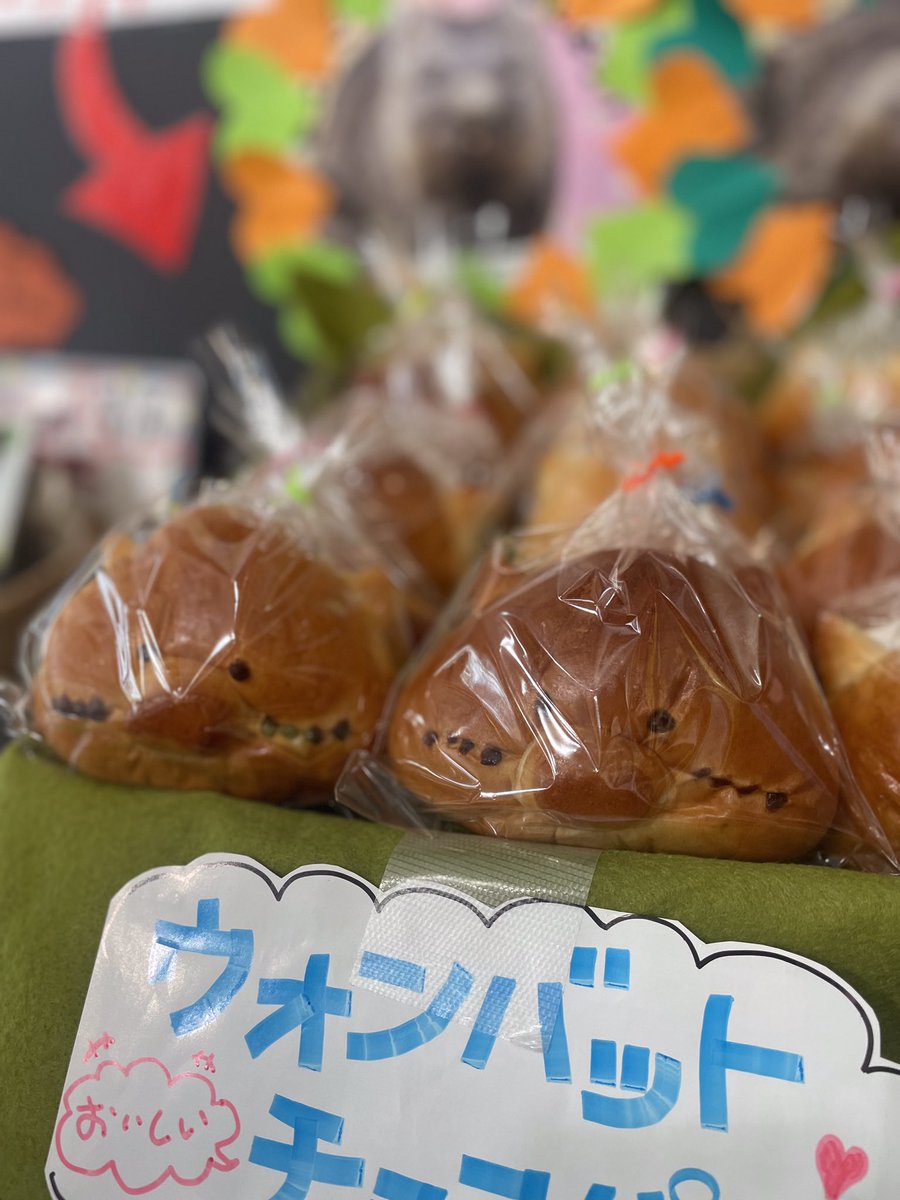 おはようございます🌞池田市観光案内所です✨

10/19・20日限定でウォンバットチョコパン販売しております🍞

本日はウォンバットの日です🐣みんなでウォンバットをお祝いしましょう🥂🎵

是非お気軽にお立ち寄りください🫧🌫️

#池田市 #池田市観光案内所　#ウォンバット #ウォンバットの日
