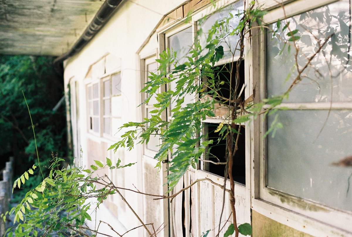 yakitoro29's tweet photo. #OLYMPUS #OM1 #フィルムカメラ https://t.co/xzHFgLw5BB