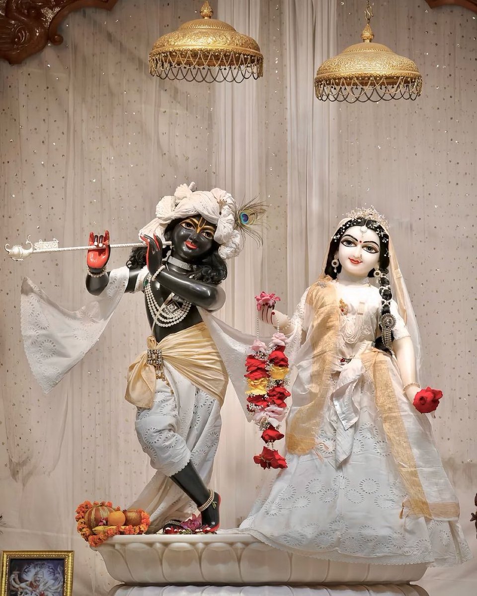 जय श्री राधे कृष्ण 🙏🏻🌺 

शुभ प्रभात 🌸