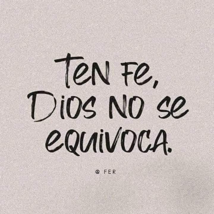 el Siervo (@elsiervo__) on Twitter photo 