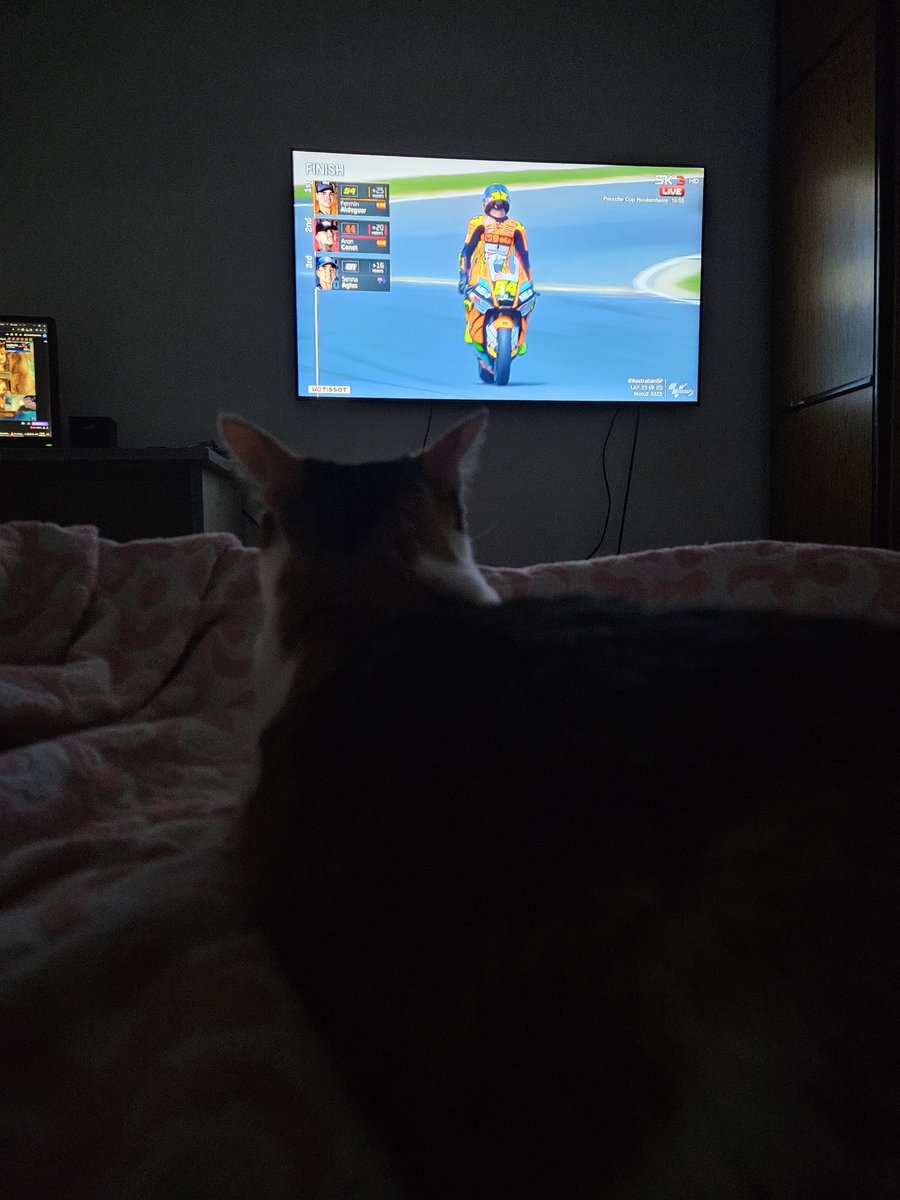 zlorf's tweet photo. Ona gleda i ne veruje, kakva trka! #skmotogp #lap76 @serceg https://t.co/PH9wvu0inp