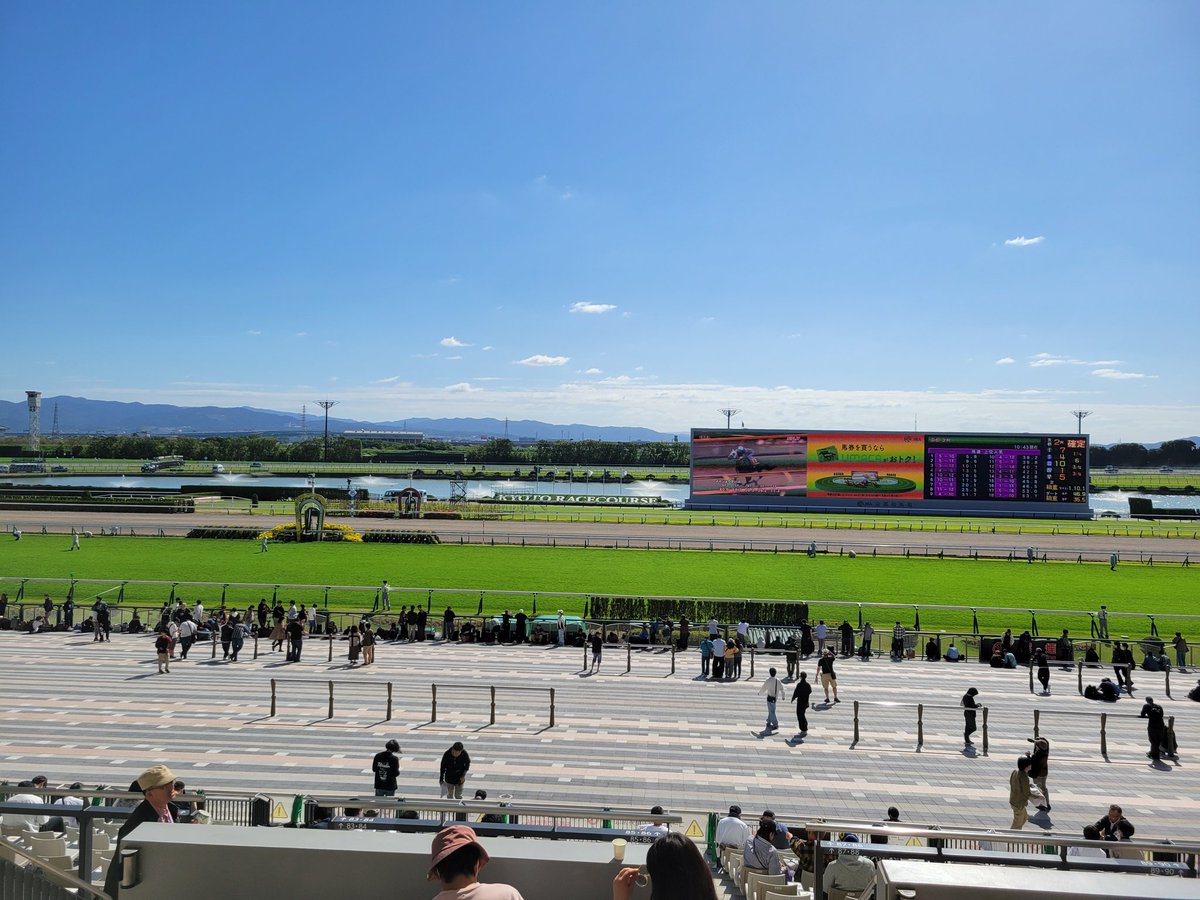 ga___ko_'s tweet photo. メンエス同士の上司と京都競馬場
景色の良いシートも取れて、最高の天気で言うことなしです。
勝ってメンエス行きます https://t.co/PuJqfjCNiD