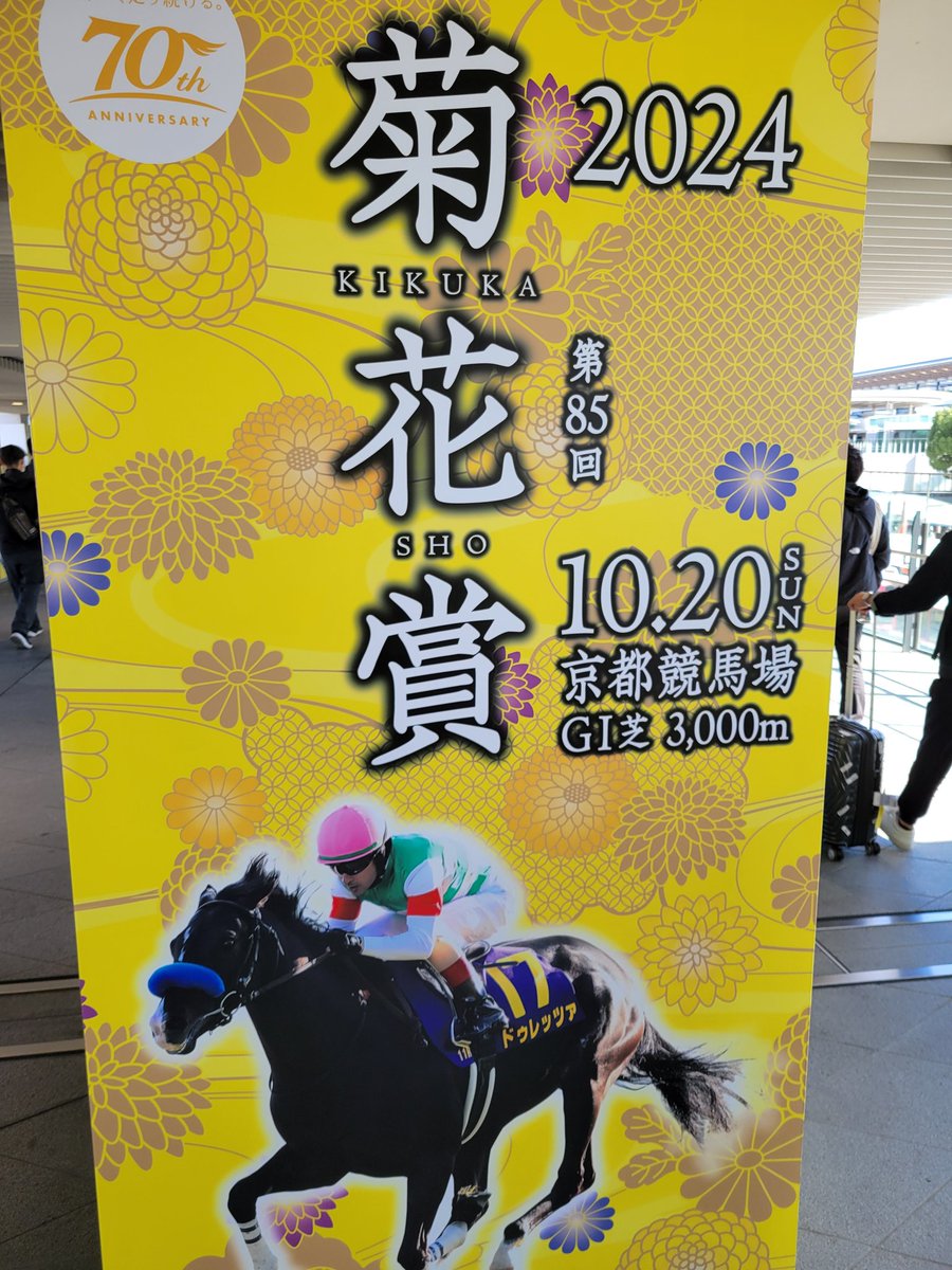 ga___ko_'s tweet photo. メンエス同士の上司と京都競馬場
景色の良いシートも取れて、最高の天気で言うことなしです。
勝ってメンエス行きます https://t.co/PuJqfjCNiD