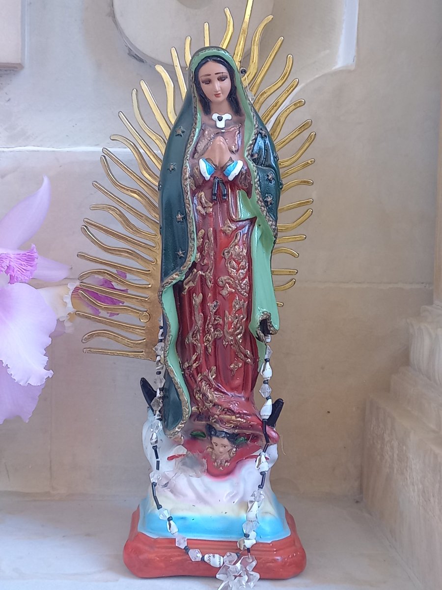 ✝️ Dios te salve, María, 
llena eres de gracia;
el Señor es contigo.
Bendita Tú eres 
entre todas las mujeres,
y bendito es el fruto de tu vientre, Jesús. 

Santa María, Madre de Dios,
ruega por nosotros, pecadores,
ahora y en la hora de nuestra muerte. Amén 🙏